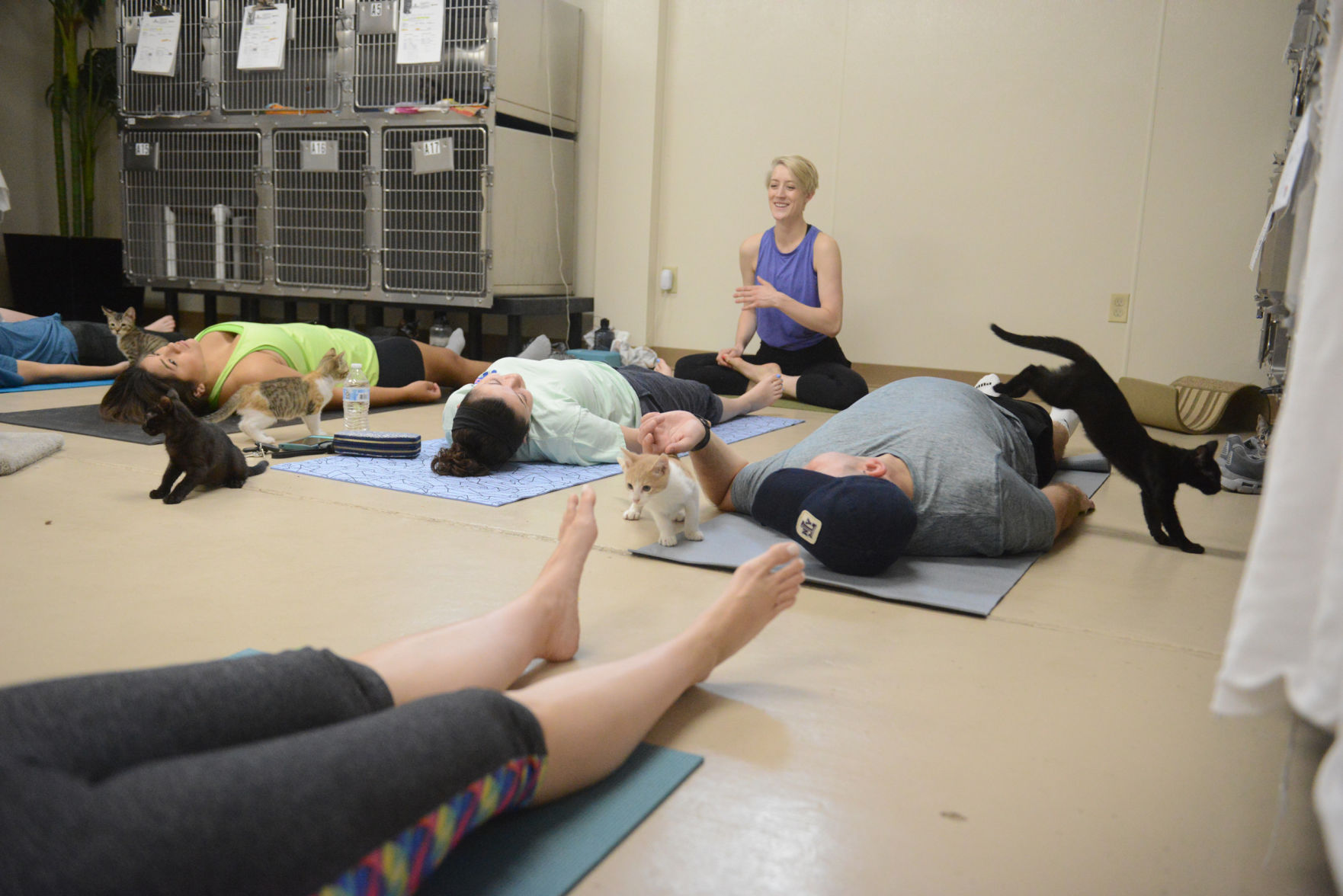 Cat Yoga at Aggieland Humane Society